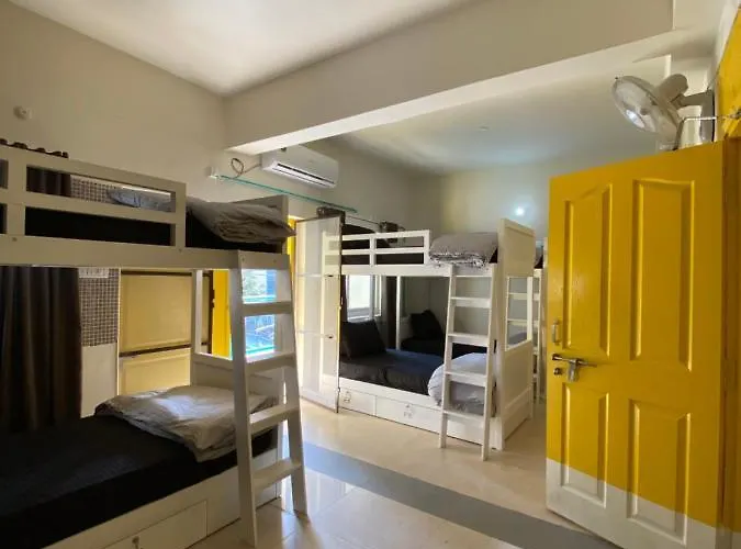 Rove By Boston Living